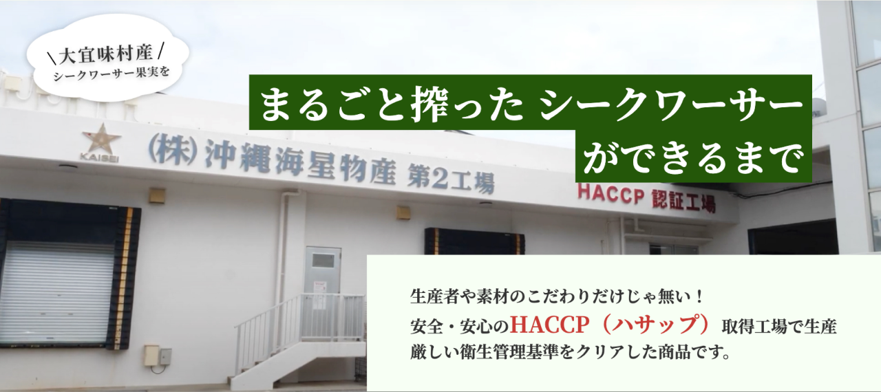 まるごと搾った シークワーサーができるまで