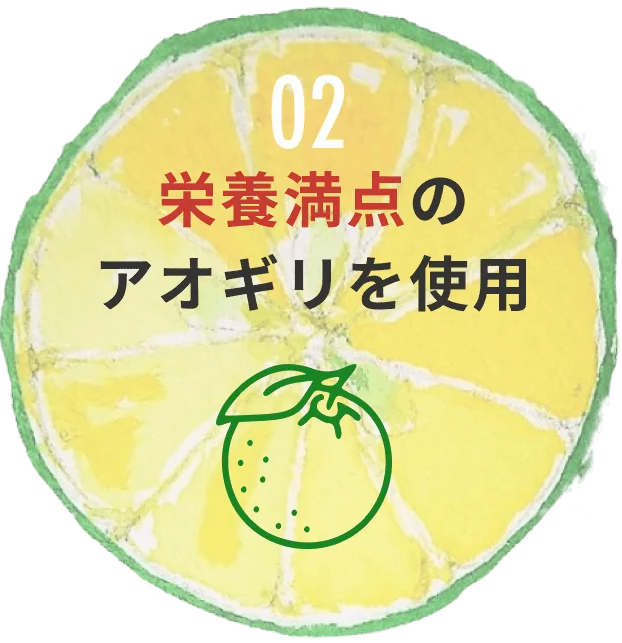 02:栄養満点のアオギリを使用