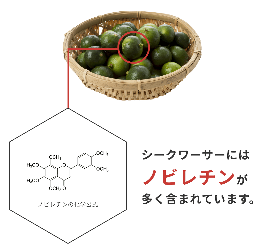 シークワーサーにはノビレチンが多く含まれています。